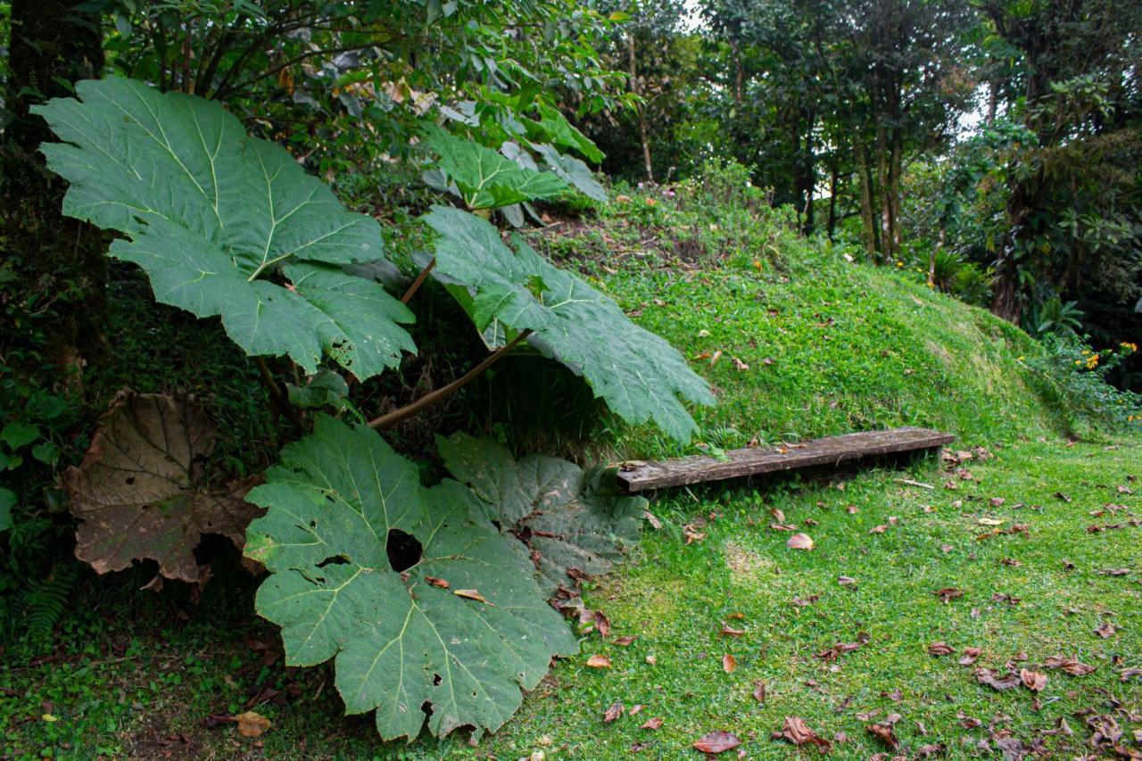 Burbi Lake Lodge Monteverde Zewnętrze zdjęcie