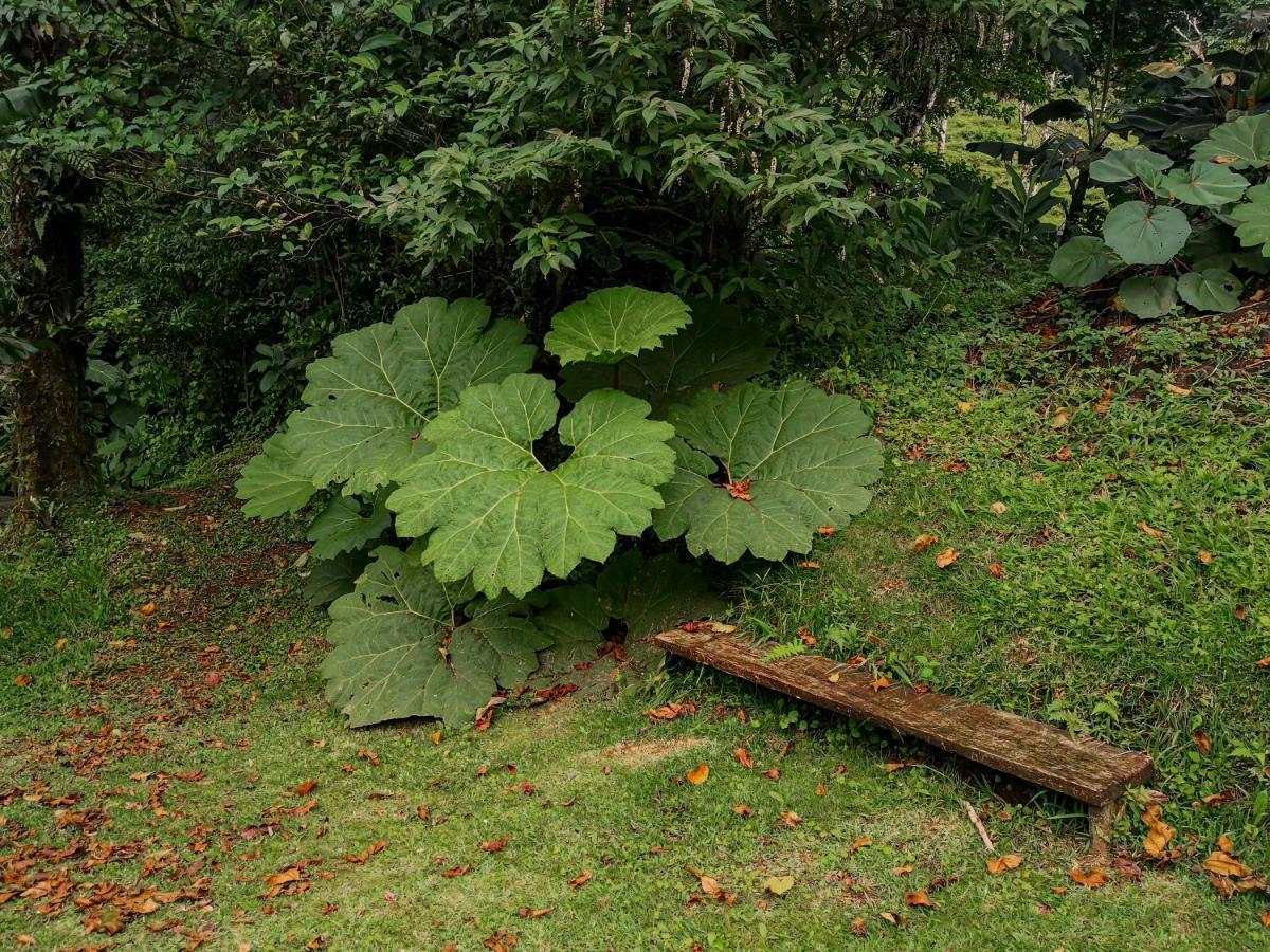 Burbi Lake Lodge Monteverde Zewnętrze zdjęcie