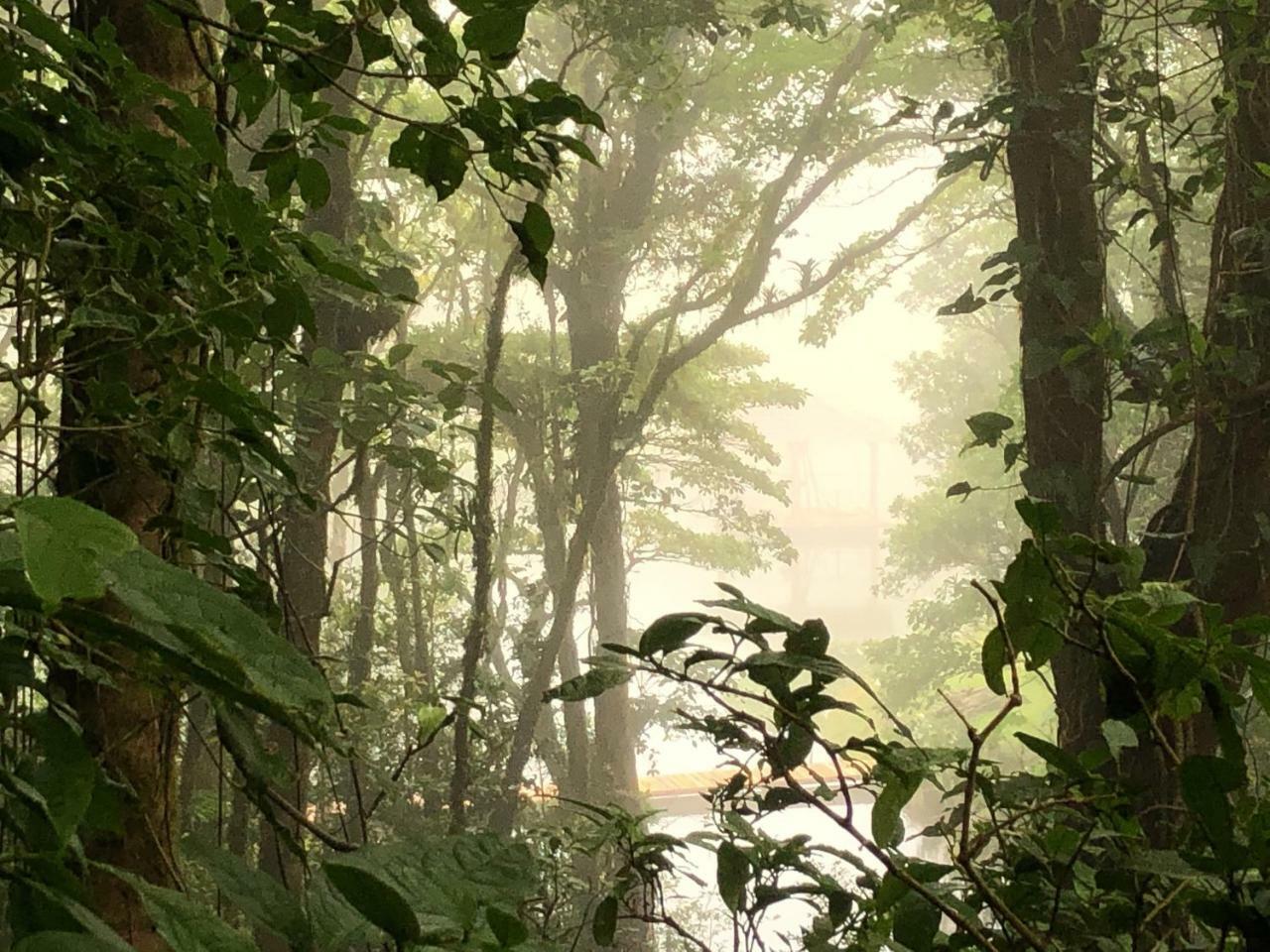 Burbi Lake Lodge Monteverde Zewnętrze zdjęcie