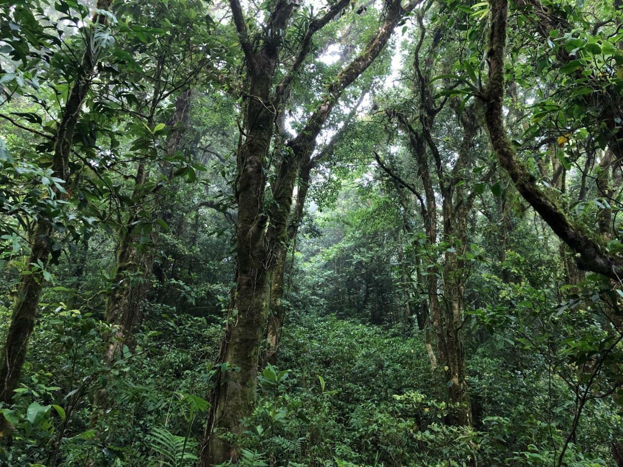 Burbi Lake Lodge Monteverde Zewnętrze zdjęcie