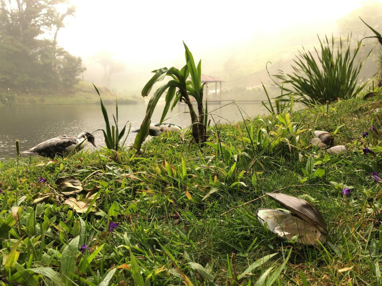 Burbi Lake Lodge Monteverde Zewnętrze zdjęcie