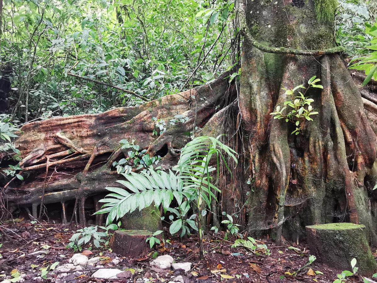 Burbi Lake Lodge Monteverde Zewnętrze zdjęcie